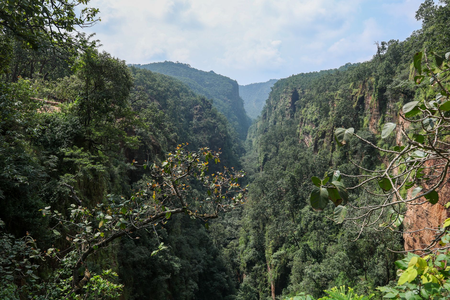 Green valleys of Pachmarhi in the Satpura range